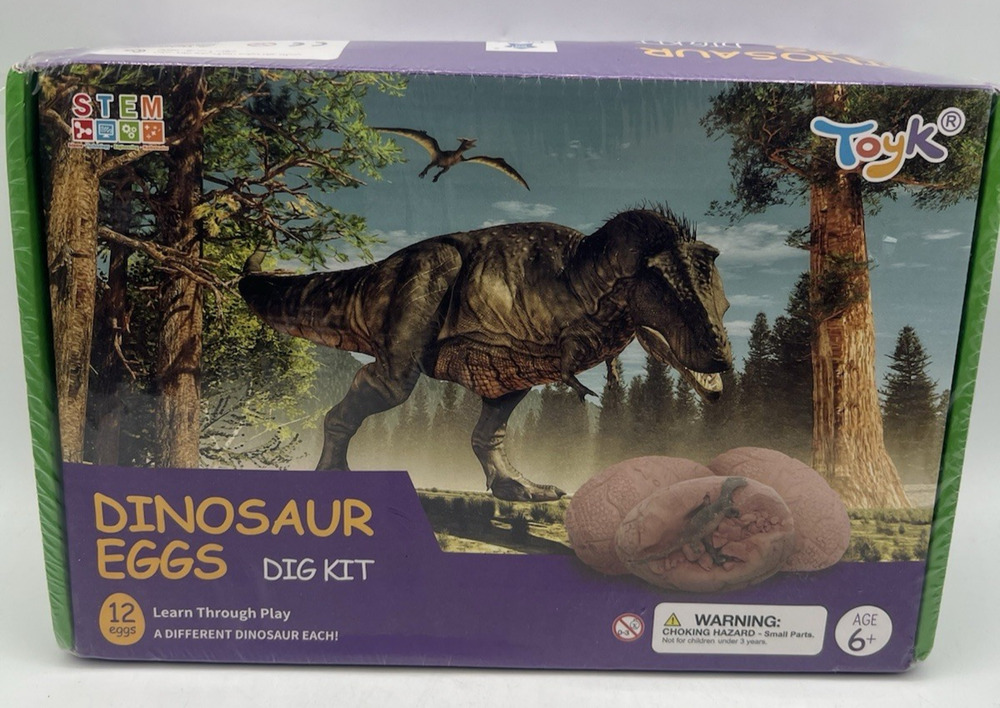 Dinosaur Eggs Dig Kit 12 Eggs STEM Toy Kids Excavation Learning Set Age 6+